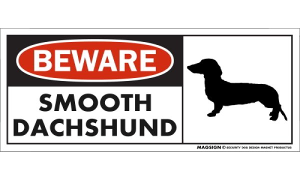 画像1: [MAGSIGN] スムースダックスフンド マグネット＆ステッカー 犬 注意 英語 BEWARE SMOOTH DACHSHUND 対象:車(ドア/ガラス/ボディ)・屋外(玄関扉/窓ガラス/メールポスト) 日本製 (1)