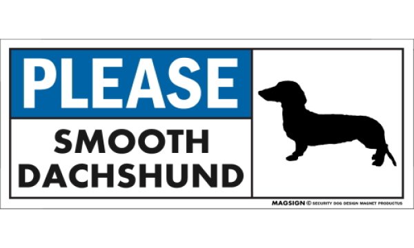 画像1: [MAGSIGN] スムースダックスフンド マグネット＆ステッカー 犬 英語 喜ばせる 満足させる PLEASE SMOOTH DACHSHUND 対象:車(ドア/ガラス/ボディ)・屋外(玄関扉/窓ガラス/メールポスト) 日本製 (1)