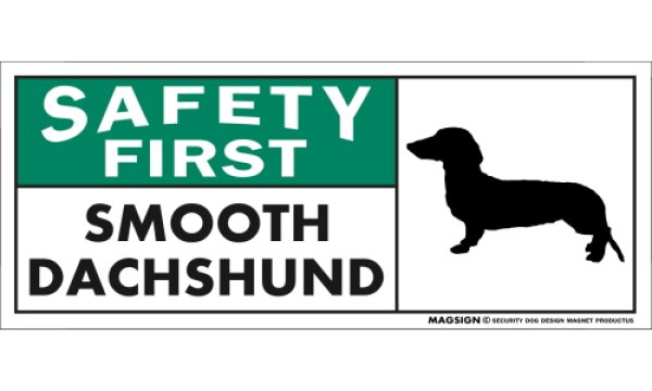 画像1: [MAGSIGN] スムースダックスフンド マグネット＆ステッカー 英語 安全第一 SAFETY FIRST SMOOTH DACHSHUND 対象:車(ドア/ガラス/ボディ)・屋外(玄関扉/窓ガラス/メールポスト) 日本製 (1)