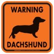 画像3: [MAGSIGN] WARNING DACHSHUND マグネット＆ステッカー：スムースダックスフンド(ホワイト/イエロー/オレンジ) 注意 英語 正方形 車＆屋外用(防水性/耐光性) 日本製 (3)