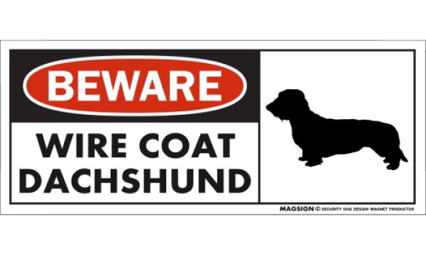 画像1: [MAGSIGN] ワイヤーコートダックスフンド マグネット＆ステッカー 犬 注意 英語 BEWARE WIRE COAT DACHSHUND 対象:車(ドア/ガラス/ボディ)・屋外(玄関扉/窓ガラス/メールポスト) 日本製 (1)