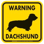 画像2: [MAGSIGN] WARNING DACHSHUND マグネット＆ステッカー：ワイヤーコートダックスフンド(ホワイト/イエロー/オレンジ) 注意 英語 正方形 車＆屋外用(防水性/耐光性) 日本製 (2)