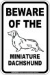 画像2: [MAGSIGN] ミニチュアダックスフンド 注意 英語 マグネット＆ステッカー BEWARE OF THE MINIATURE DACHSHUND 車/屋外用 日本製 (2)