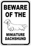 画像3: [MAGSIGN] ミニチュアダックスフンド 注意 英語 マグネット＆ステッカー BEWARE OF THE MINIATURE DACHSHUND 車/屋外用 日本製 (3)