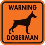 画像4: [MAGSIGN] WARNING DOBERMAN マグネット＆ステッカー：ドーベルマン(ホワイト/イエロー/オレンジ) 注意 英語 正方形 車＆屋外用(防水性/耐光性) 日本製 (4)