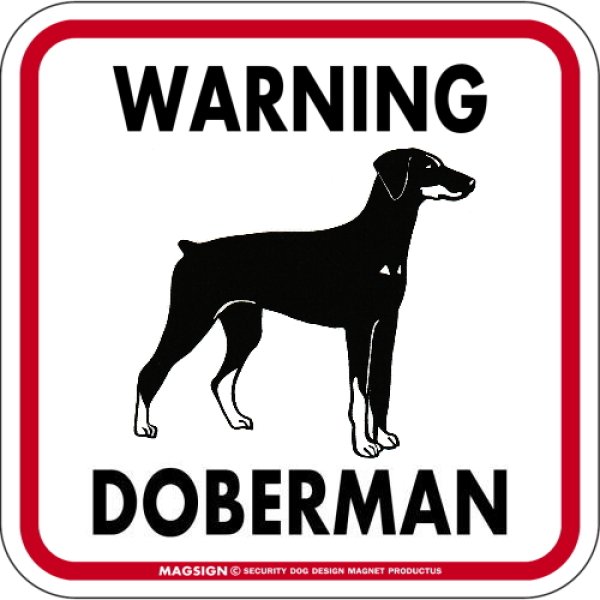画像1: [MAGSIGN] WARNING DOBERMAN マグネット＆ステッカー：ドーベルマン/垂れ耳(ホワイト/イエロー/オレンジ) 注意 英語 正方形 車＆屋外用(防水性/耐光性) 日本製 (1)