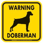 画像3: [MAGSIGN] WARNING DOBERMAN マグネット＆ステッカー：ドーベルマン/垂れ耳(ホワイト/イエロー/オレンジ) 注意 英語 正方形 車＆屋外用(防水性/耐光性) 日本製 (3)