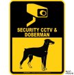 画像1: ドーベルマン＆防犯カメラ 監視 警戒中 英語 マグサイン(マグネット/ステッカー)：SECURITY CCTV ＆ DOBERMAN [MAGSIGN] (1)
