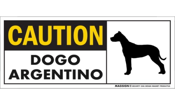 画像1: [MAGSIGN] ドゴアルヘンティーノ マグネット＆ステッカー 英語 警戒 CAUTION DOGO ARGENTINO 対象:車(ドア/ガラス/ボディ)・屋外(玄関扉/窓ガラス/メールポスト) 日本製 (1)