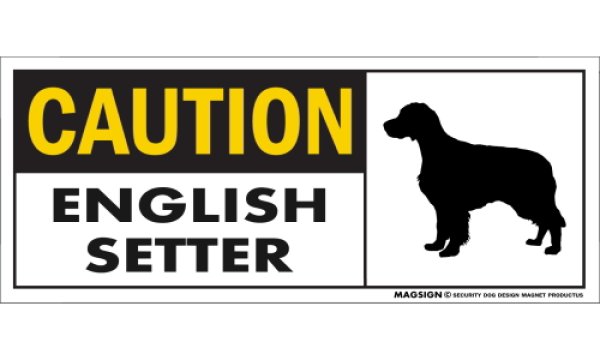 画像1: [MAGSIGN] イングリッシュセッター マグネット＆ステッカー 英語 警戒 CAUTION ENGLISH SETTER 対象:車(ドア/ガラス/ボディ)・屋外(玄関扉/窓ガラス/メールポスト) 日本製 (1)