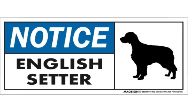 画像1: [MAGSIGN] イングリッシュセッター マグネット＆ステッカー 英語 お知らせ NOTICE ENGLISH SETTER 対象:車(ドア/ガラス/ボディ)・屋外(玄関扉/窓ガラス/メールポスト) 日本製 (1)