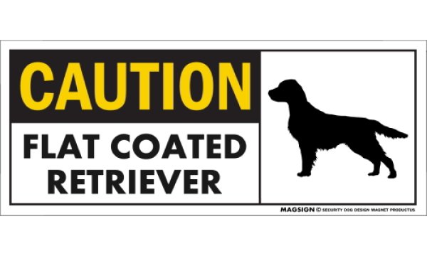 画像1: [MAGSIGN] フラットコーテッドレトリーバー マグネット＆ステッカー 英語 警戒 CAUTION FLAT COATED RETRIEVER 対象:車(ドア/ガラス/ボディ)・屋外(玄関扉/窓ガラス/メールポスト) 日本製 (1)