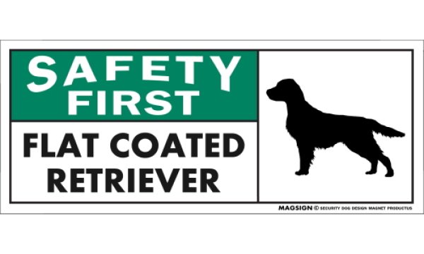 画像1: [MAGSIGN] フラットコーテッドレトリーバー マグネット＆ステッカー 英語 安全第一 SAFETY FIRST FLAT COATED RETRIEVER 対象:車(ドア/ガラス/ボディ)・屋外(玄関扉/窓ガラス/メールポスト) 日本製 (1)