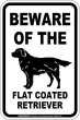 画像2: [MAGSIGN] フラットコーテッドレトリーバー 注意 英語 マグネット＆ステッカー BEWARE OF THE FLAT COATED RETRIEVER 車/屋外用 日本製 (2)