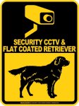 画像2: フラットコーテッドレトリバー＆防犯カメラ 監視 警戒中 英語 マグサイン(マグネット/ステッカー)：SECURITY CCTV ＆ FLAT COATED RETRIEVER [MAGSIGN] (2)