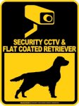 画像1: フラットコーテッドレトリバー＆防犯カメラ 監視 警戒中 英語 マグサイン(マグネット/ステッカー)：SECURITY CCTV ＆ FLAT COATED RETRIEVER [MAGSIGN] (1)