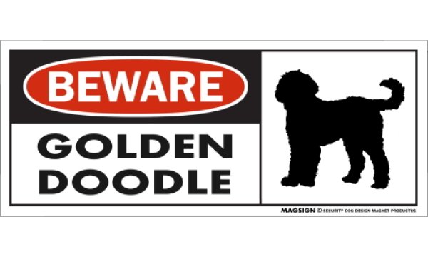 画像1: [MAGSIGN] ゴールデンドゥードル マグネット＆ステッカー 犬 注意 英語 BEWARE GOLDENDOODLE 対象:車(ドア/ガラス/ボディ)・屋外(玄関扉/窓ガラス/メールポスト) 日本製 (1)