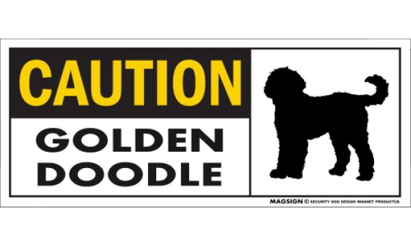 画像1: [MAGSIGN] ゴールデンドゥードル マグネット＆ステッカー 英語 警戒 CAUTION GOLDENDOODLE 対象:車(ドア/ガラス/ボディ)・屋外(玄関扉/窓ガラス/メールポスト) 日本製 (1)