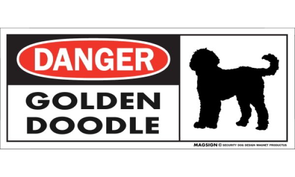 画像1: [MAGSIGN] ゴールデンドゥードル マグネット＆ステッカー 英語 危ない 危険 DANGER GOLDENDOODLE 対象:車(ドア/ガラス/ボディ)・屋外(玄関扉/窓ガラス/メールポスト) 日本製 (1)