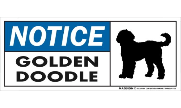 画像1: [MAGSIGN] ゴールデンドゥードル マグネット＆ステッカー 英語 お知らせ NOTICE GOLDENDOODLE 対象:車(ドア/ガラス/ボディ)・屋外(玄関扉/窓ガラス/メールポスト) 日本製 (1)