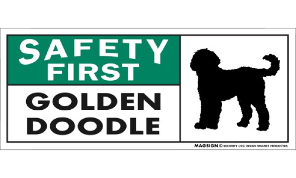 画像1: [MAGSIGN] ゴールデンドゥードル マグネット＆ステッカー 英語 安全第一 SAFETY FIRST GOLDENDOODLE 対象:車(ドア/ガラス/ボディ)・屋外(玄関扉/窓ガラス/メールポスト) 日本製 (1)