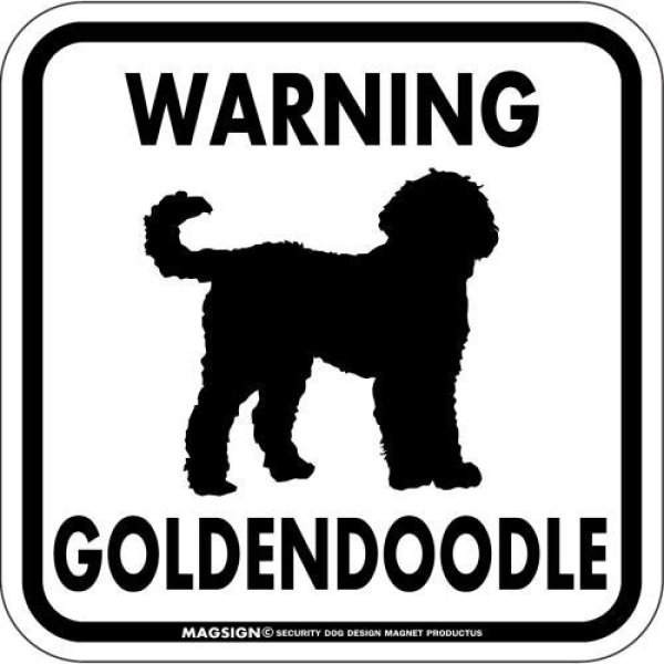 画像1: [MAGSIGN] WARNING GOLDENDOODLE マグネット＆ステッカー：ゴールデンドゥードル(ホワイト/イエロー/オレンジ) 注意 英語 正方形 車＆屋外用(防水性/耐光性) 日本製 (1)