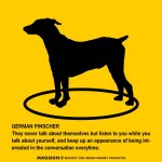 画像2: GERMAN PINSCHER'S POEM [MAGSIGN] ポエムシリーズ マグネット＆ステッカー 防水/耐水・耐光性 日本製 英語＆シルエット：ジャーマンピンシャー（ホワイト/イエロー） (2)