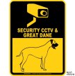 画像1: グレートデーン＆防犯カメラ 監視 警戒中 英語 マグサイン(マグネット/ステッカー)：SECURITY CCTV ＆ GREAT DANE [MAGSIGN] (1)