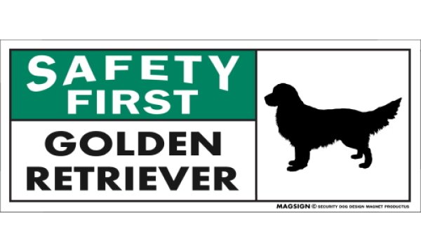 画像1: [MAGSIGN] ゴールデンレトリーバー マグネット＆ステッカー 英語 安全第一 SAFETY FIRST GOLDEN RETRIEVER 対象:車(ドア/ガラス/ボディ)・屋外(玄関扉/窓ガラス/メールポスト) 日本製 (1)