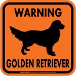 画像4: [MAGSIGN] WARNING GOLDEN RETRIEVER マグネット＆ステッカー：ゴールデンレトリーバー(ホワイト/イエロー/オレンジ) 注意 英語 正方形 車＆屋外用(防水性/耐光性) 日本製 (4)