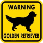 画像3: [MAGSIGN] WARNING GOLDEN RETRIEVER マグネット＆ステッカー：ゴールデンレトリーバー(ホワイト/イエロー/オレンジ) 注意 英語 正方形 車＆屋外用(防水性/耐光性) 日本製 (3)