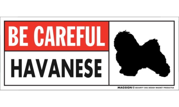 画像1: [MAGSIGN] ハバニーズ マグネット＆ステッカー (犬)気を付けて 英語 BE CAREFUL HAVANESE 対象:車(ドア/ガラス/ボディ)・屋外(玄関扉/窓ガラス/メールポスト) 日本製 (1)