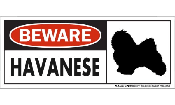 画像1: [MAGSIGN] ハバニーズ マグネット＆ステッカー 犬 注意 英語 BEWARE HAVANESE 対象:車(ドア/ガラス/ボディ)・屋外(玄関扉/窓ガラス/メールポスト) 日本製 (1)