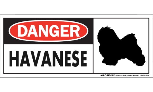 画像1: [MAGSIGN] ハバニーズ マグネット＆ステッカー 英語 危ない 危険 DANGER HAVANESE 対象:車(ドア/ガラス/ボディ)・屋外(玄関扉/窓ガラス/メールポスト) 日本製 (1)