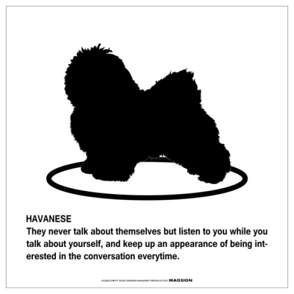 画像1: HAVANESE'S POEM [MAGSIGN] ポエムシリーズ マグネット＆ステッカー 防水/耐水・耐光性 日本製 英語＆シルエット：ハバニーズ（ホワイト/イエロー） (1)