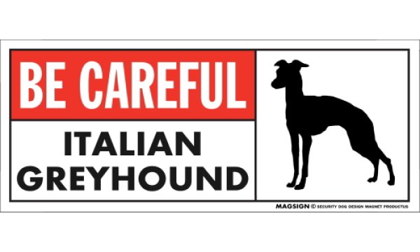 画像1: [MAGSIGN] イタリアングレーハウンド マグネット＆ステッカー (犬)気を付けて 英語 BE CAREFUL ITALIAN GREYHOUND 対象:車(ドア/ガラス/ボディ)・屋外(玄関扉/窓ガラス/メールポスト) 日本製 (1)