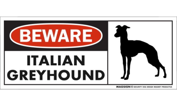 画像1: [MAGSIGN] イタリアングレーハウンド マグネット＆ステッカー 犬 注意 英語 BEWARE ITALIAN GREYHOUND 対象:車(ドア/ガラス/ボディ)・屋外(玄関扉/窓ガラス/メールポスト) 日本製 (1)