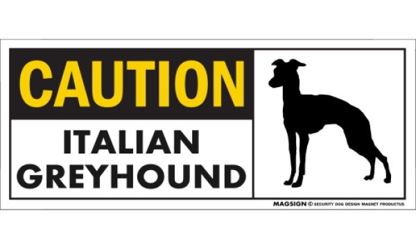 画像1: [MAGSIGN] イタリアングレーハウンド マグネット＆ステッカー 英語 警戒 CAUTION ITALIAN GREYHOUND 対象:車(ドア/ガラス/ボディ)・屋外(玄関扉/窓ガラス/メールポスト) 日本製 (1)