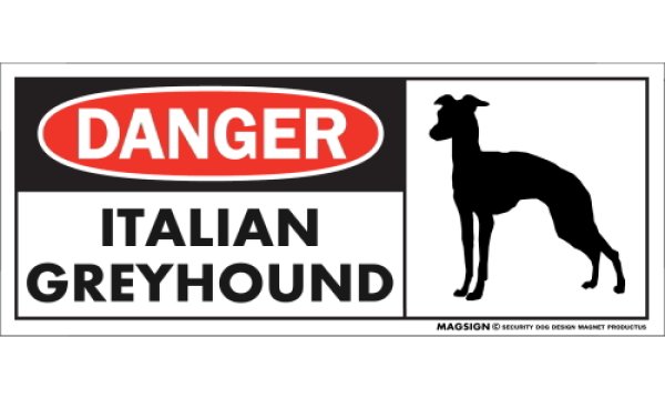 画像1: [MAGSIGN] イタリアングレーハウンド マグネット＆ステッカー 英語 危ない 危険 DANGER  ITALIAN GREYHOUND 対象:車(ドア/ガラス/ボディ)・屋外(玄関扉/窓ガラス/メールポスト) 日本製 (1)