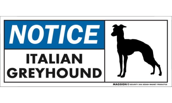 画像1: [MAGSIGN] イタリアングレーハウンド マグネット＆ステッカー 英語 お知らせ NOTICE ITALIAN GREYHOUND 対象:車(ドア/ガラス/ボディ)・屋外(玄関扉/窓ガラス/メールポスト) 日本製 (1)