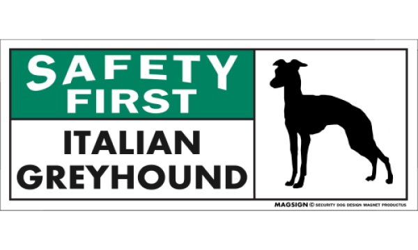 画像1: [MAGSIGN] イタリアングレーハウンド マグネット＆ステッカー 英語 安全第一 SAFETY FIRST ITALIAN GREYHOUND 対象:車(ドア/ガラス/ボディ)・屋外(玄関扉/窓ガラス/メールポスト) 日本製 (1)