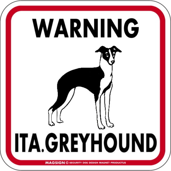 画像1: [MAGSIGN] WARNING ITA. GREYHOUND マグネット＆ステッカー：イタリアングレーハウンド(ホワイト/イエロー/オレンジ) 注意 英語 正方形 車＆屋外用(防水性/耐光性) 日本製 (1)