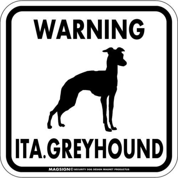 画像1: [MAGSIGN] WARNING ITA. GREYHOUND マグネット＆ステッカー：イタリアングレーハウンド(ホワイト/イエロー/オレンジ) 注意 英語 正方形 車＆屋外用(防水性/耐光性) 日本製 (1)