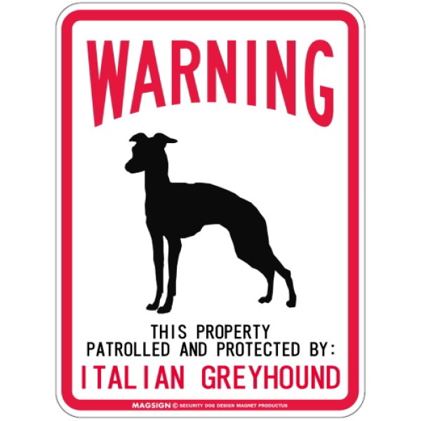 画像1: [MAGSIGN] ITALIAN GREYHOUND 注意 英語 WARNING 警告/保護/警戒 車 屋外用 マグネット＆ステッカー 日本製：イタリアングレーハウンド (1)