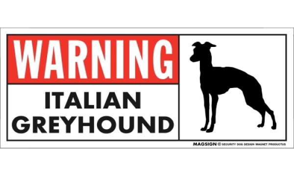 画像1: [MAGSIGN] イタリアングレーハウンド 注意マグネット＆ステッカー 英語 警戒/警告 WARNING ITALIAN GREYHOUND 対象:車(ドア/ガラス/ボディ)・屋外(玄関扉/窓ガラス/メールポスト) 日本製 (1)