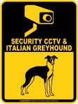 画像2: イタリアングレイハウンド＆防犯カメラ 監視 警戒中 英語 マグサイン(マグネット/ステッカー)：SECURITY CCTV ＆ ITALIAN GREYHOUND [MAGSIGN] (2)