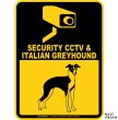 画像1: イタリアングレイハウンド＆防犯カメラ 監視 警戒中 英語 マグサイン(マグネット/ステッカー)：SECURITY CCTV ＆ ITALIAN GREYHOUND [MAGSIGN] (1)