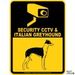 画像2: イタリアングレイハウンド＆防犯カメラ 監視 警戒中 英語 マグサイン(マグネット/ステッカー)：SECURITY CCTV ＆ ITALIAN GREYHOUND [MAGSIGN] (2)