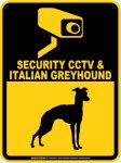 画像1: イタリアングレイハウンド＆防犯カメラ 監視 警戒中 英語 マグサイン(マグネット/ステッカー)：SECURITY CCTV ＆ ITALIAN GREYHOUND [MAGSIGN] (1)