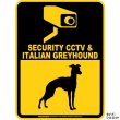 画像3: イタリアングレイハウンド＆防犯カメラ 監視 警戒中 英語 マグサイン(マグネット/ステッカー)：SECURITY CCTV ＆ ITALIAN GREYHOUND [MAGSIGN] (3)